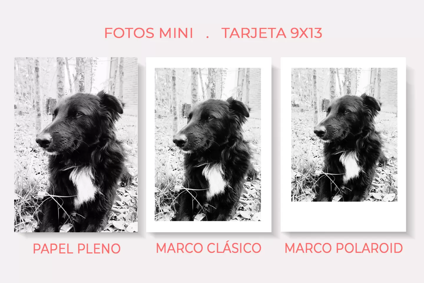 fotos tarjeta 9x13