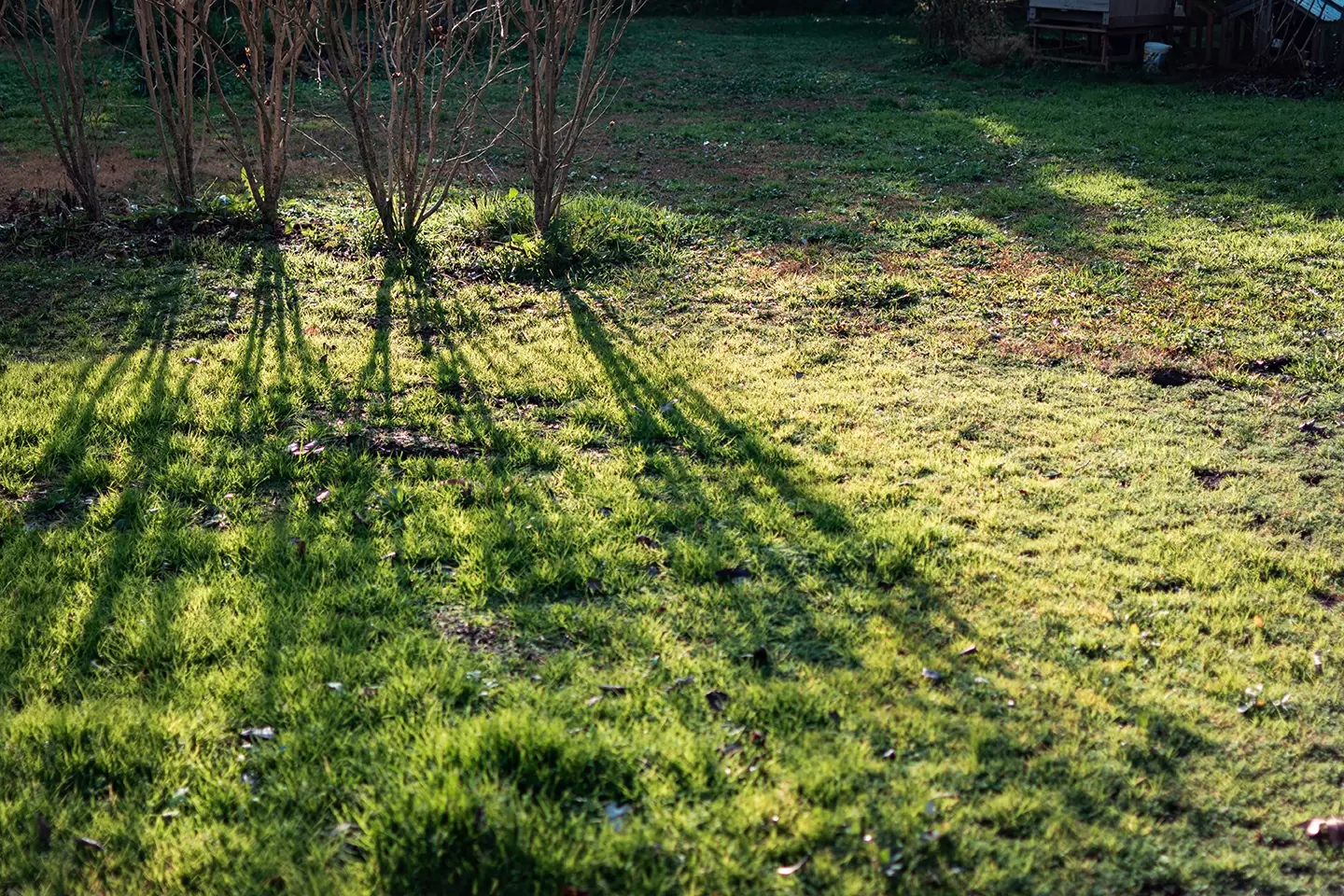 nuestro entorno natural