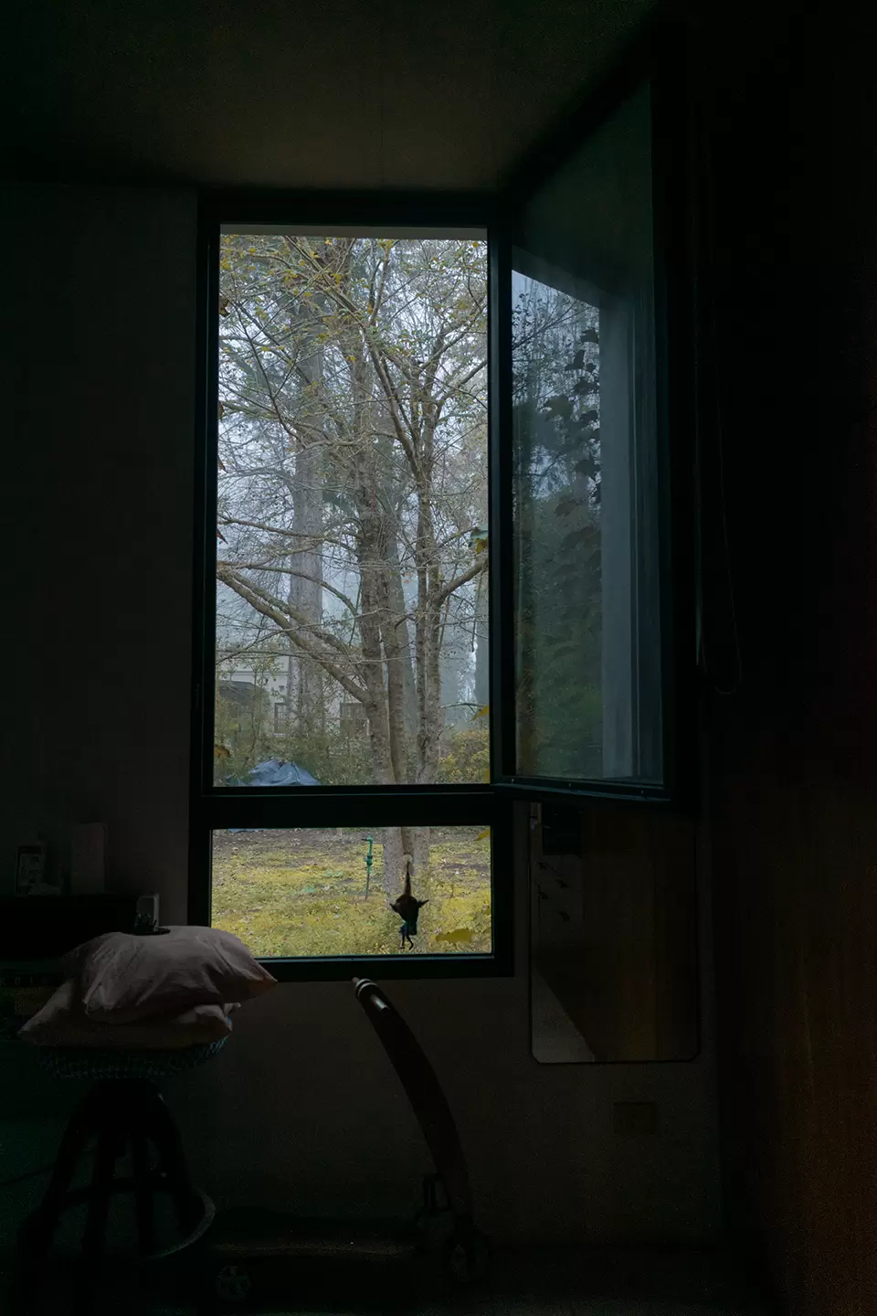 nuestro entorno natural