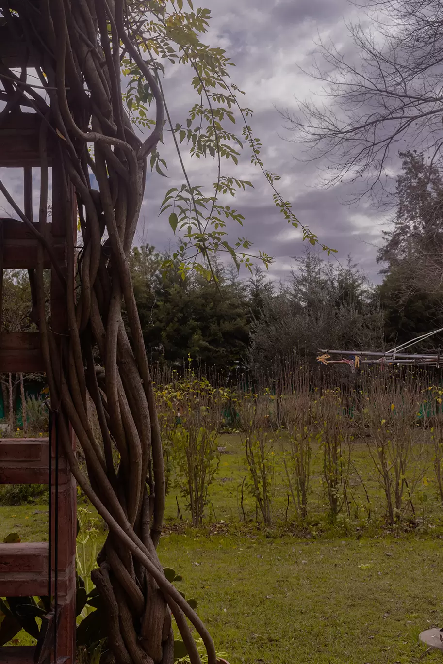 nuestro entorno natural