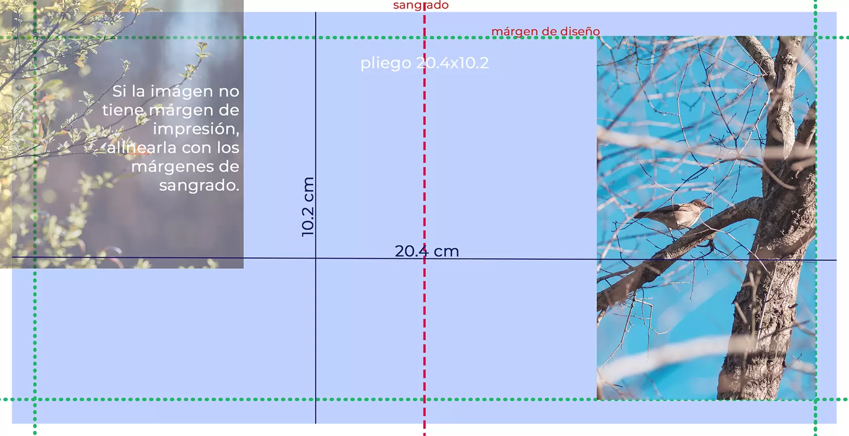 plantilla ejemplo con medidas para folio de fotolibro. Ayuda para fotografos.
