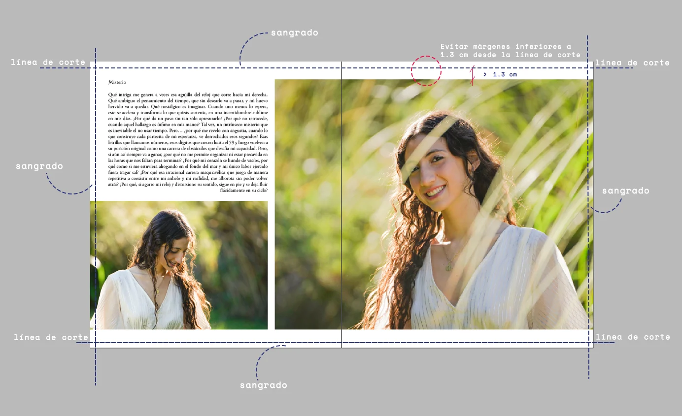 ayuda plantilla layout