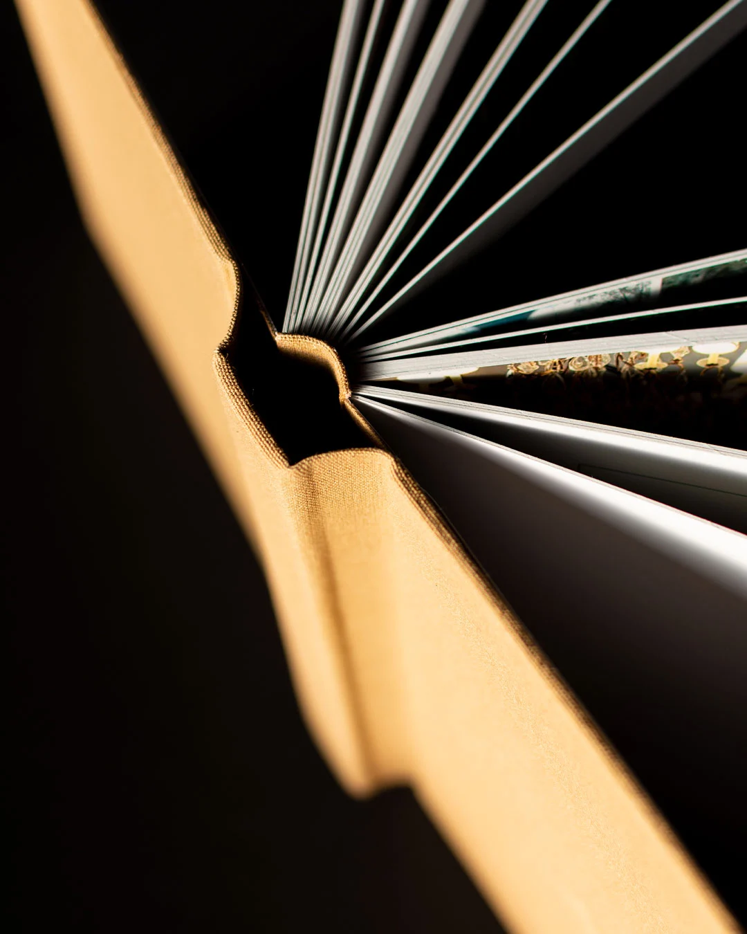 FOTOLIBROS 18 x 20 - Imagen 5