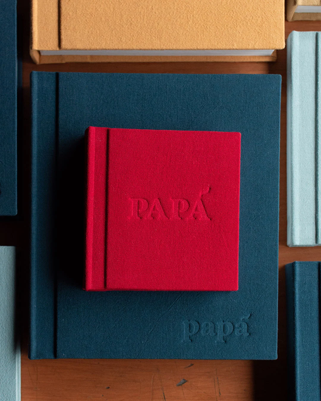FOTOLIBROS POCKET