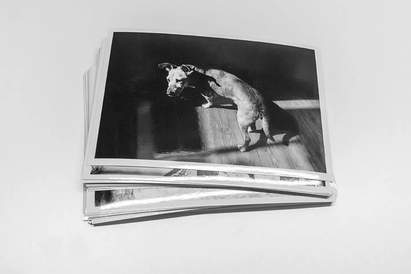 packs de fotos impresas en minilab proceso químico calidad profesional