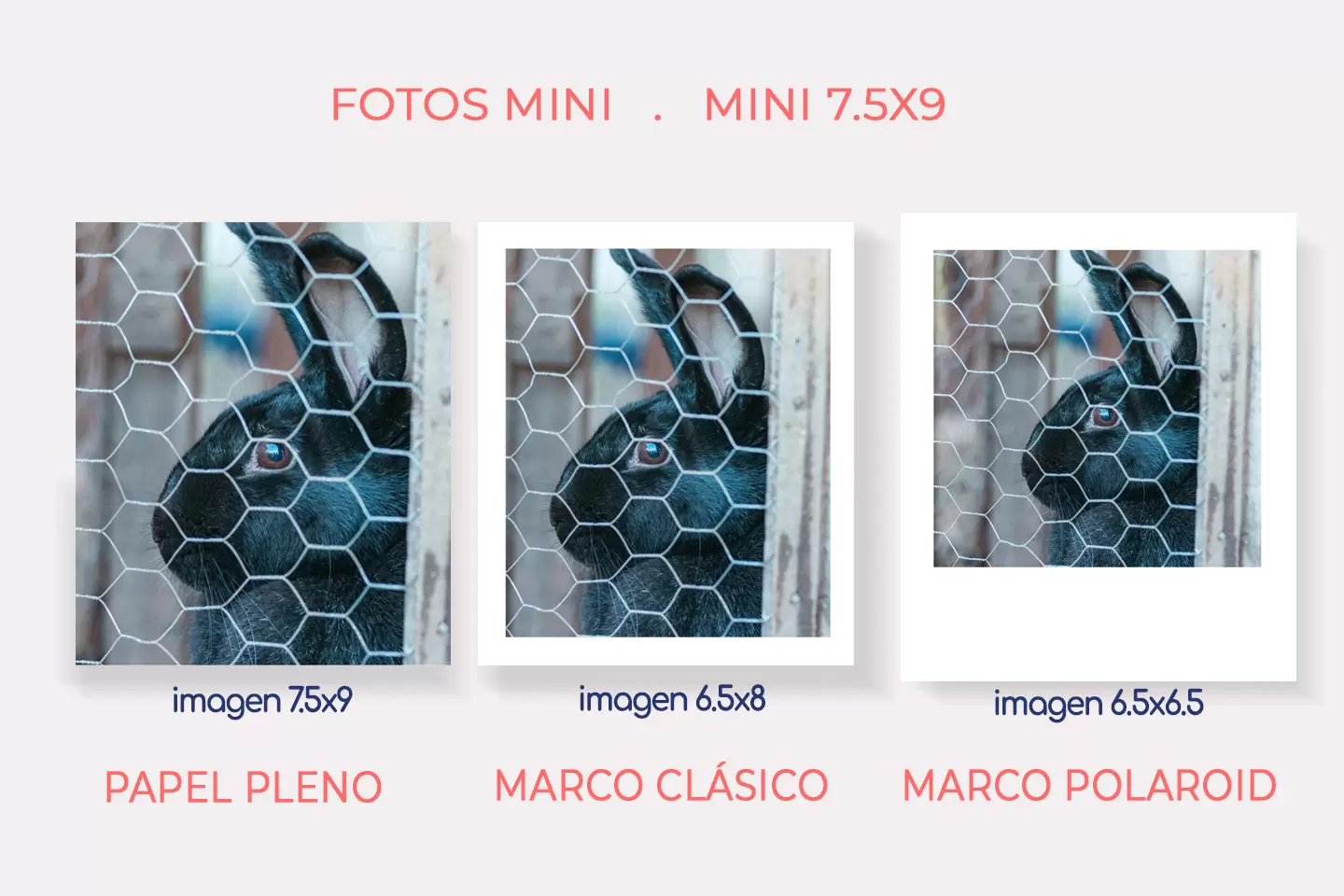 Impresión de Fotos mini. Detalle de formatos y medidas en sus tres variantes, Marco clásico, papel pleno y marco polaroid.