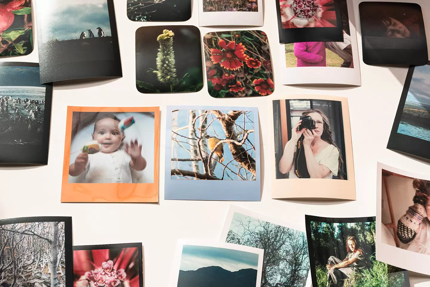 fotos 10x11.5 marco polaroid, clásico vintage, papel pleno