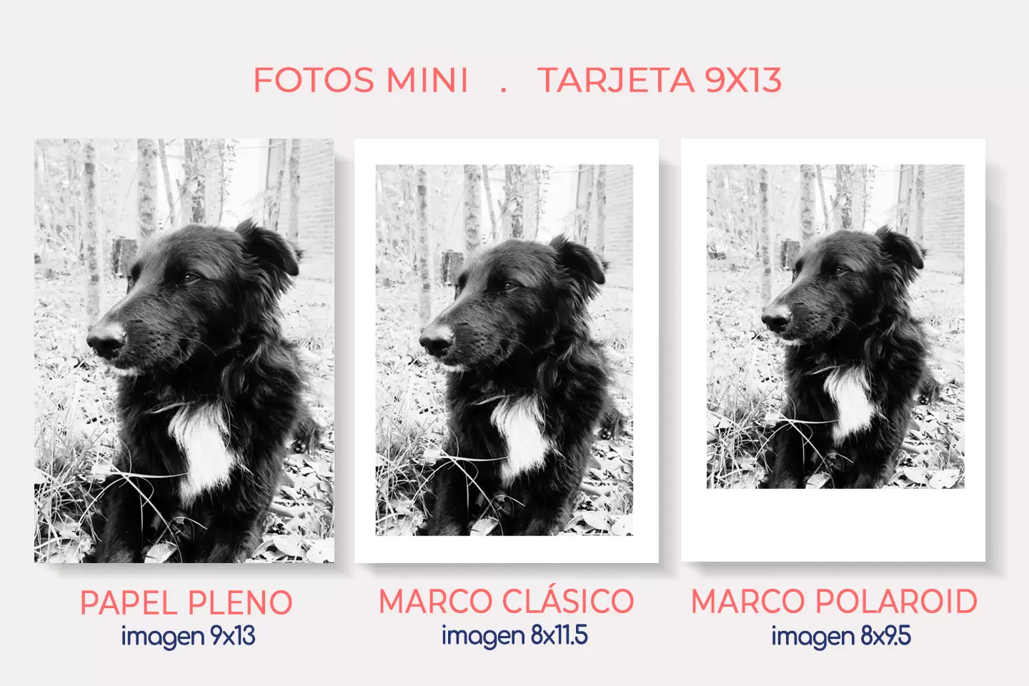Impresión de Fotos mini. Detalle de formatos y medidas en sus tres variantes, Marco clásico, papel pleno y marco polaroid.