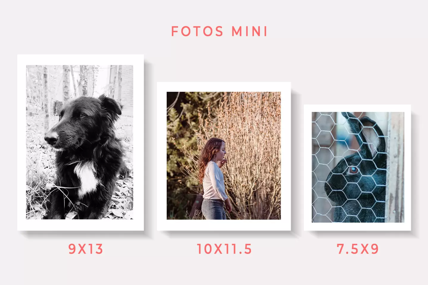 detalles distintos tamaños de fotos de pequeño formato